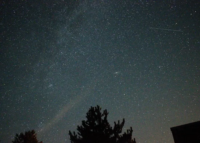 Finnhuetten Waldesruh Holiday home *